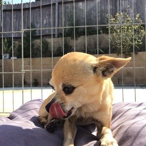 Meet your Posher, Andrea